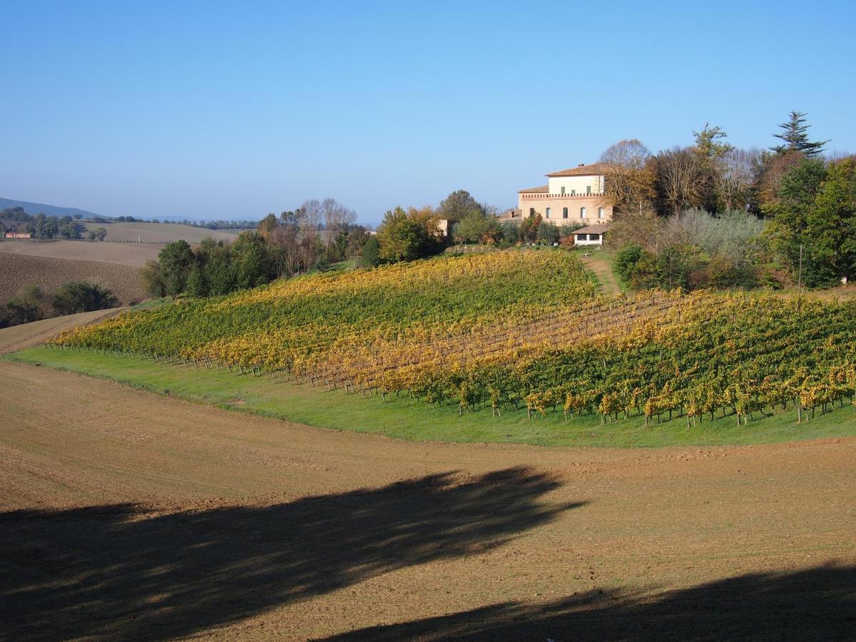 Agriturismo Poggiarellino - Montalcino Extérieur photo