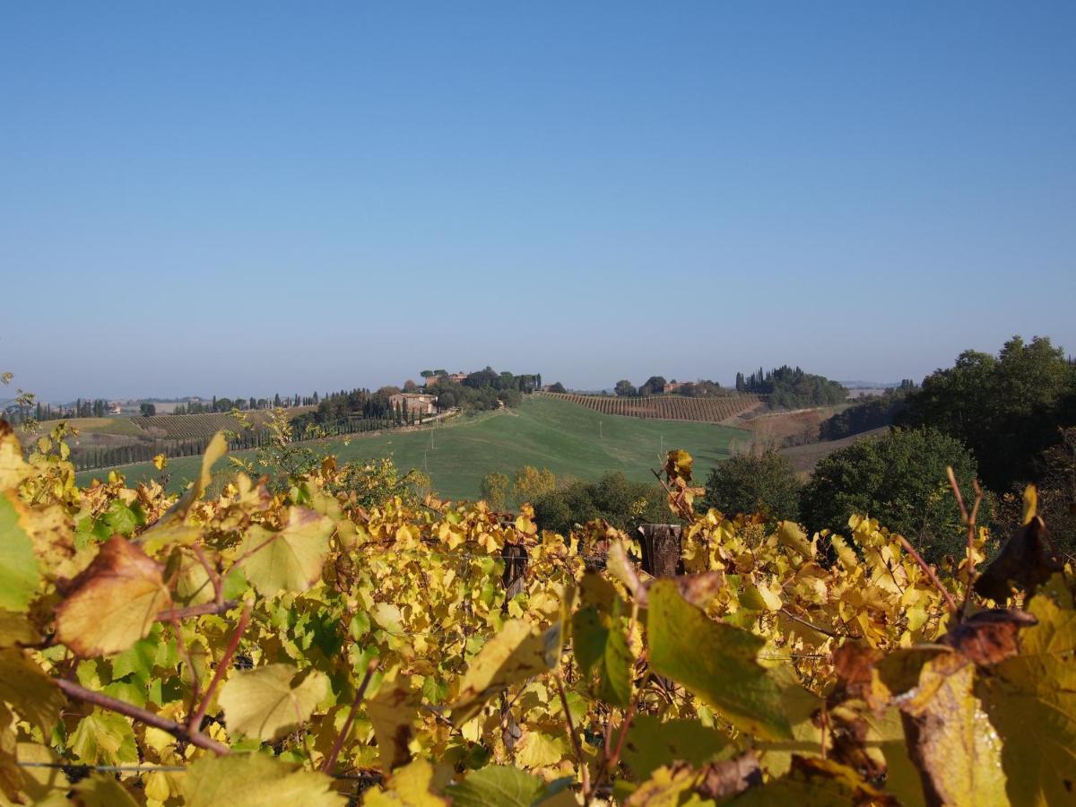 Agriturismo Poggiarellino - Montalcino Extérieur photo
