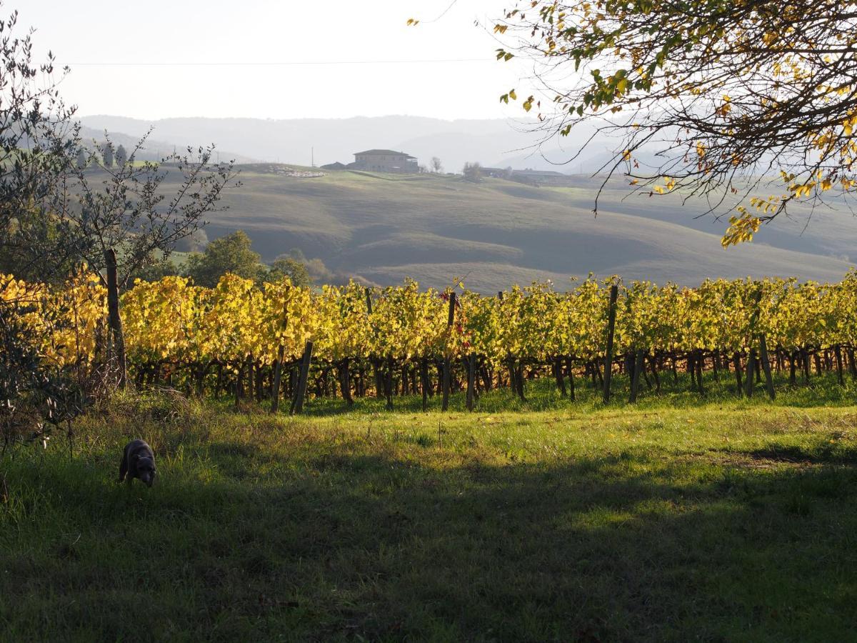 Agriturismo Poggiarellino - Montalcino Extérieur photo