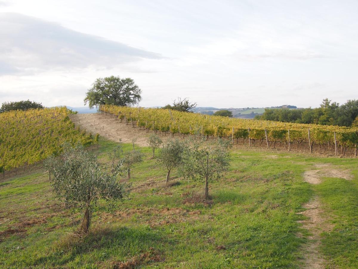 Agriturismo Poggiarellino - Montalcino Extérieur photo