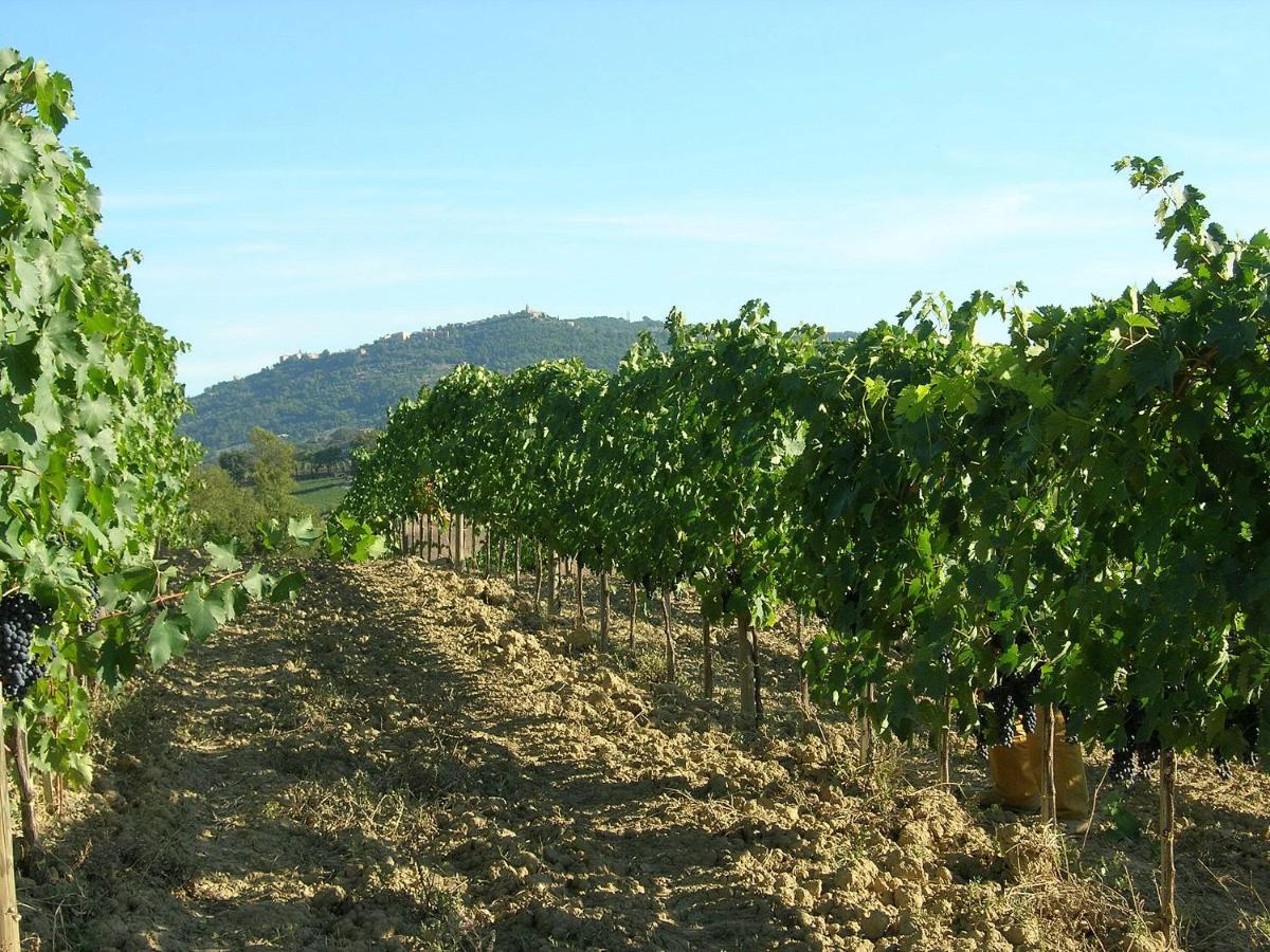Agriturismo Poggiarellino - Montalcino Extérieur photo