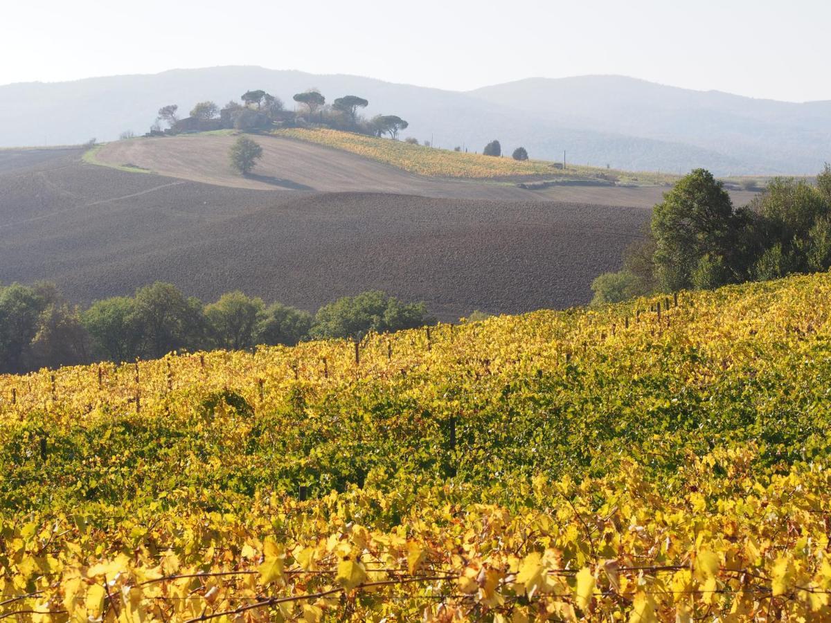 Agriturismo Poggiarellino - Montalcino Extérieur photo